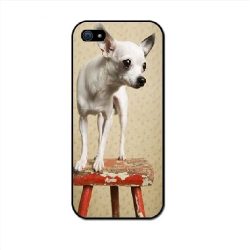 iphone 5 chihuahua