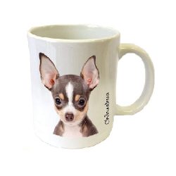 perro chihuahua